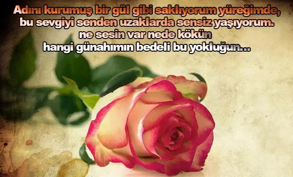 Özlemi Anlatan Güzel Sözler