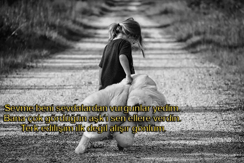 Özlemi Anlatan Sözler