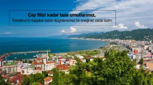 Rize İle İlgili Sözler