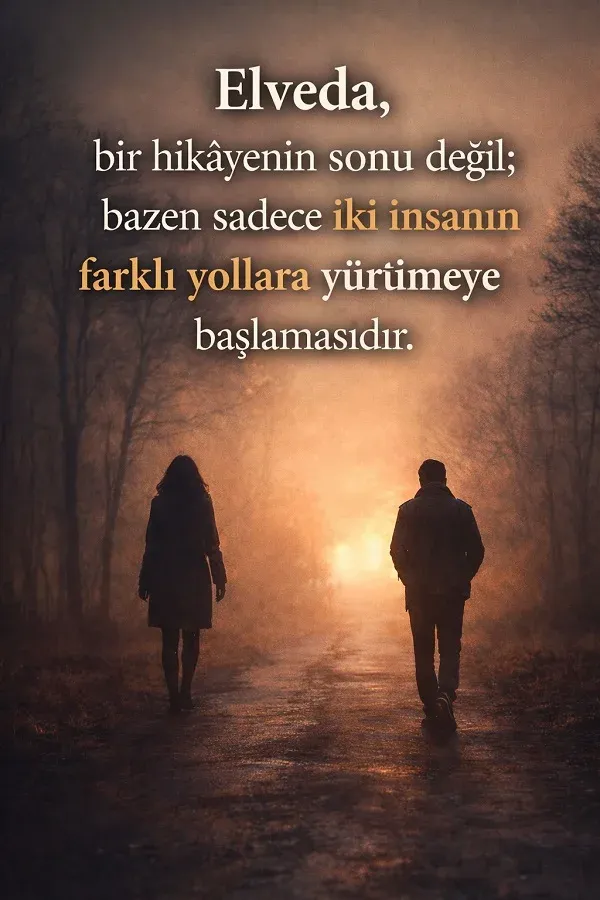 Sevgiliye Elveda Sözleri