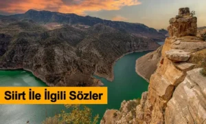 Siirt İle İlgili Sözler