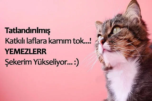 Şirin Sözler