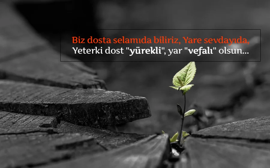 Vefasızlık İle İlgili Güzel Sözler