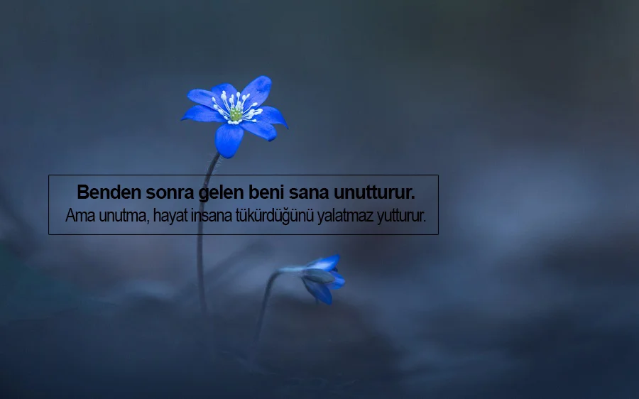 Vefasızlık Sözleri