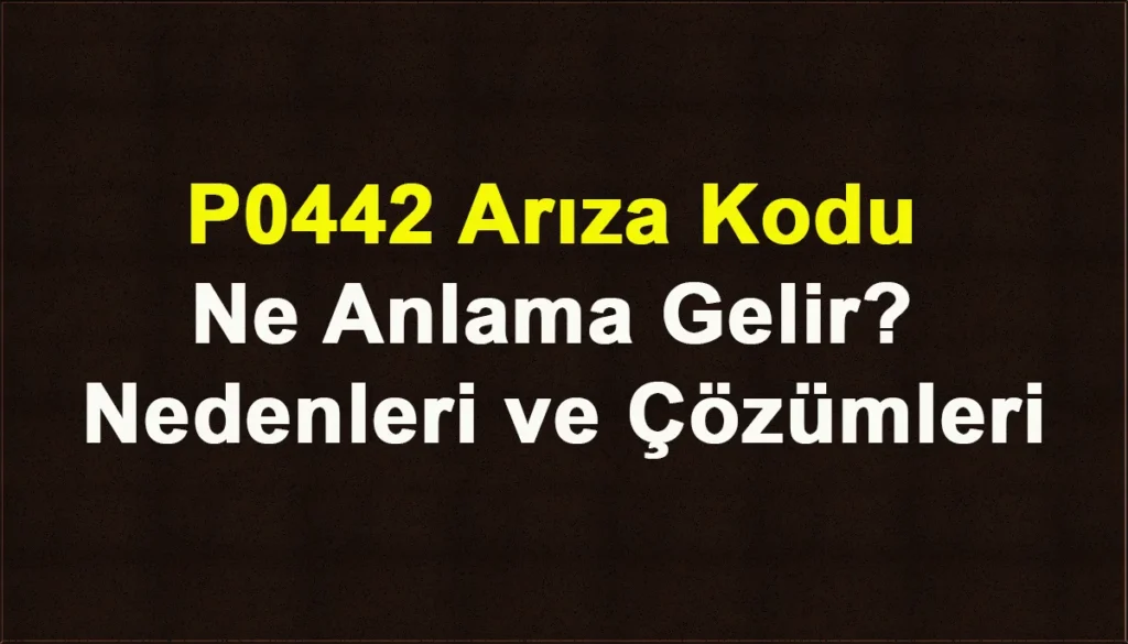 P0442 Arıza Kodu