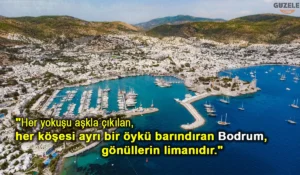 Bodrum İle İlgili Sözler