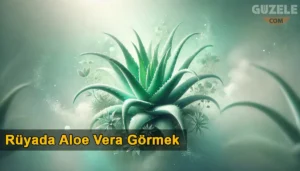 Rüyada Aloe Vera Görmek