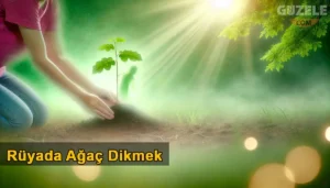 Rüyada Ağaç Dikmek