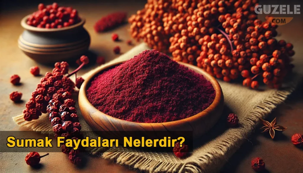Sumak Faydaları Nelerdir? Sumak Faydaları Nelerdir