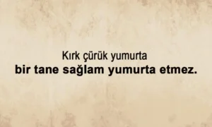 Yumurta İle İlgili Sözler