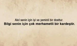 Yusuf Has Hacib Sözleri