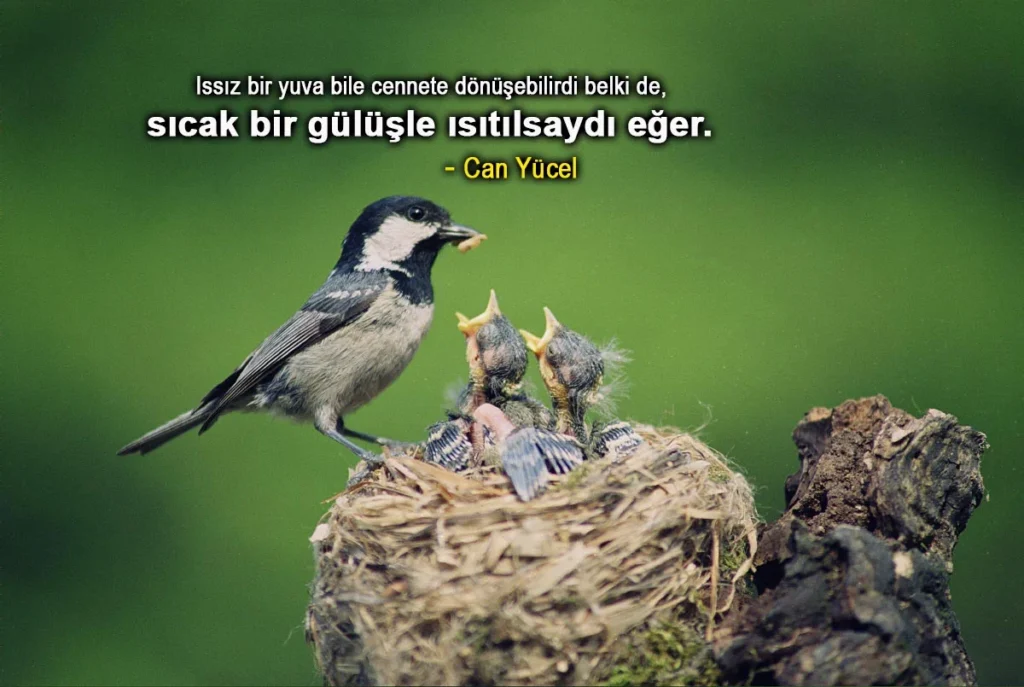 Yuva İle İlgili Sözler Yuva İle İlgili Sözler