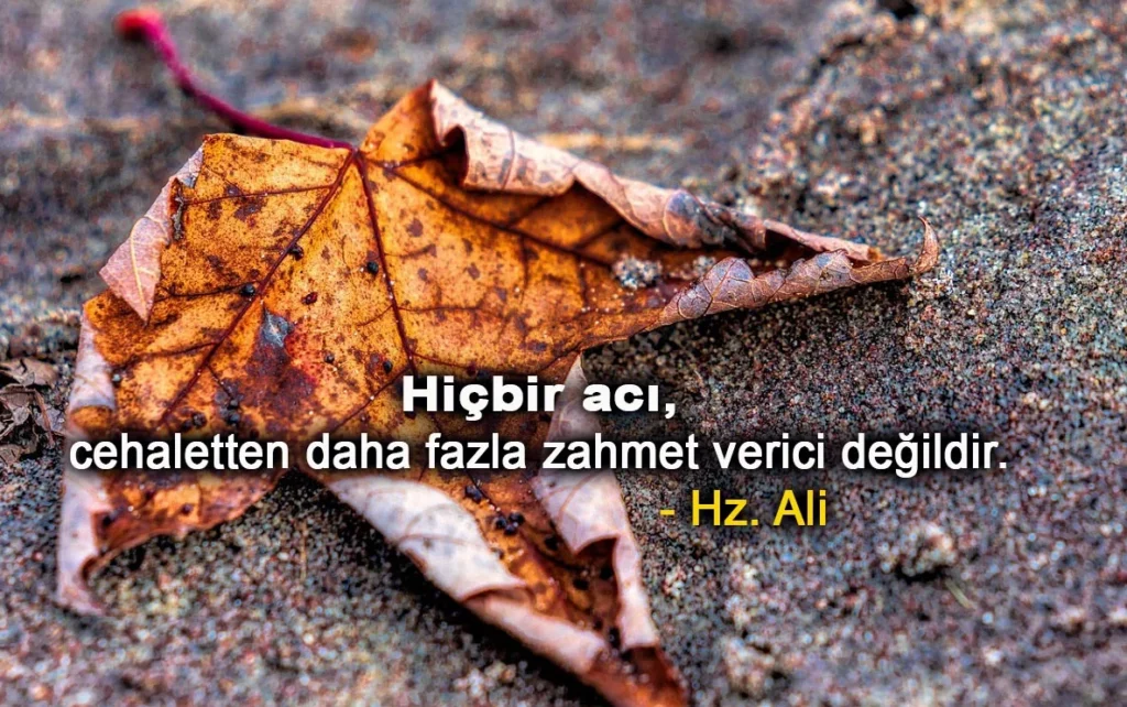 Zahmet İle İlgili Sözler