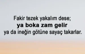 Zam İle İlgili Sözler