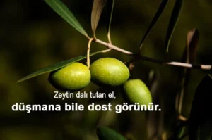 Zeytin İle İlgili Sözler Zeytin İle İlgili Sözler
