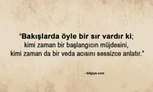 Bakışlar İle İlgili Sözler