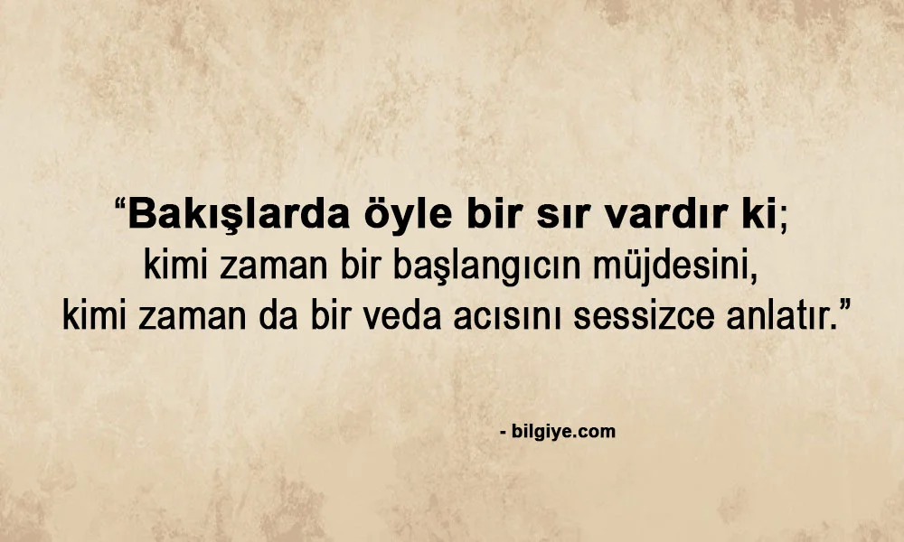 Bakışlar İle İlgili Sözler