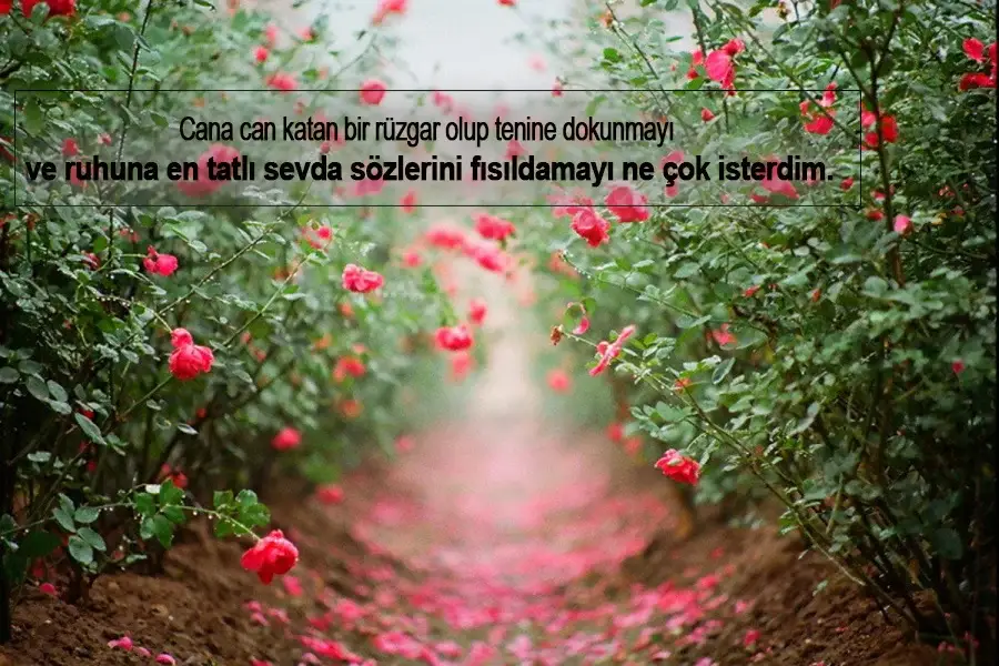 C Harfi İle Aşk Sözleri