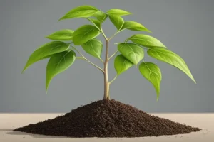 Rüyada Fidan Görmek Ne Anlama Gelir?