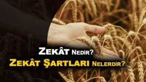 Zekat Nedir