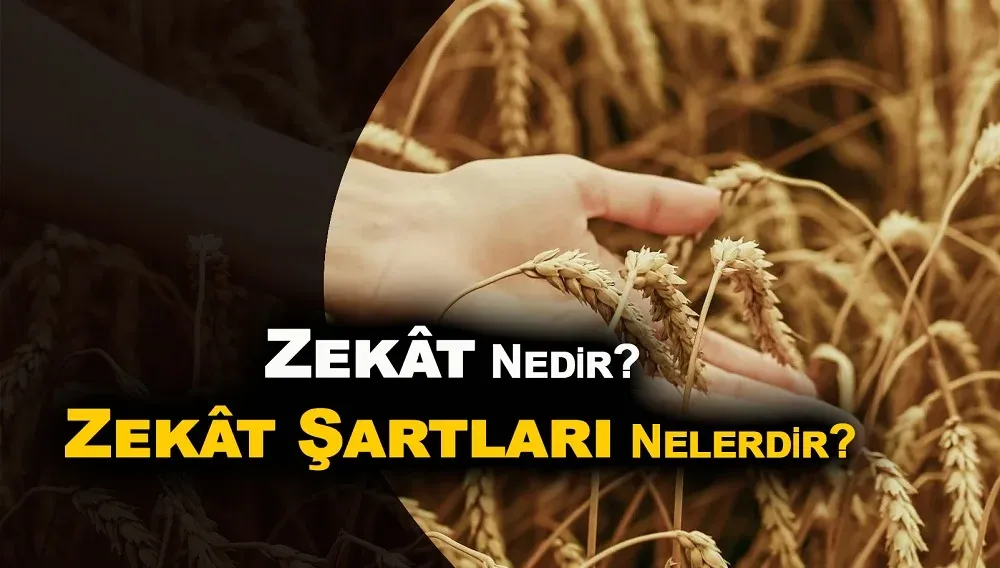 Zekat Nedir