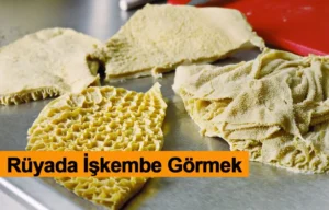 Rüyada İşkembe Görmek