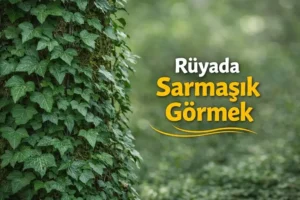 Rüyada Sarmaşık Görmek