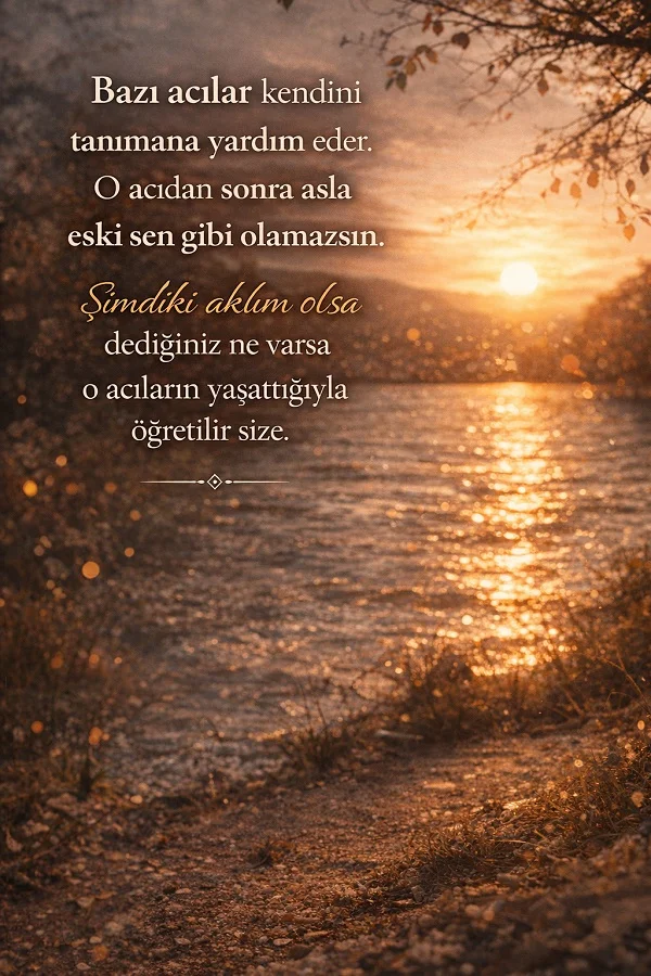 Gün batımında göl kenarı manzarası ve acıların öğrettikleri üzerine anlamlı söz görseli.