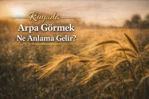 Rüyada arpa görmek ne anlama gelir yazılı, arpa başaklarıyla dolu tarlayı gösteren görsel.