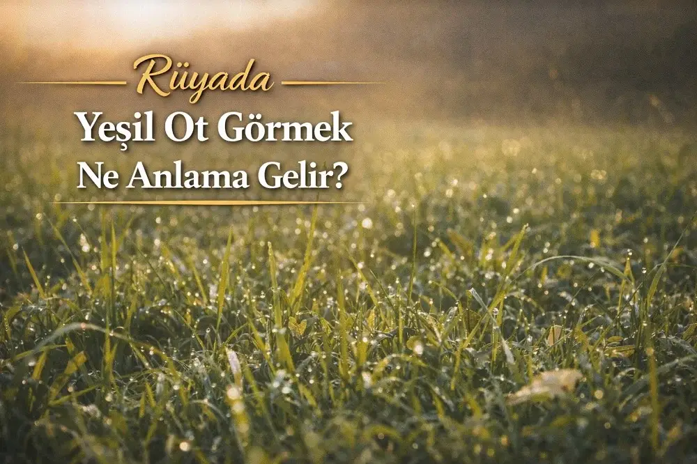 Rüyada yeşil ot görmek ne anlama gelir içeriği için hazırlanmış yeşil ot görseli