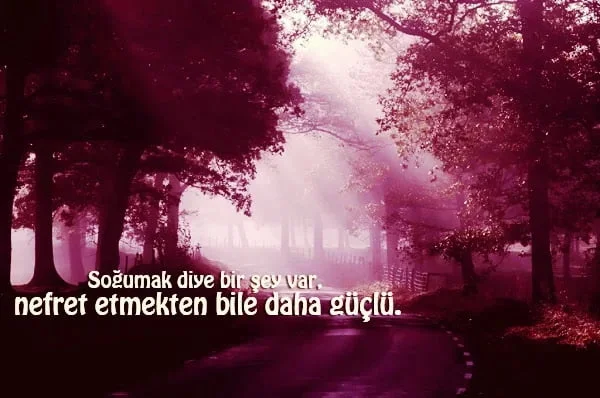 soğumak ve nefret içeren duygusal söz görseli