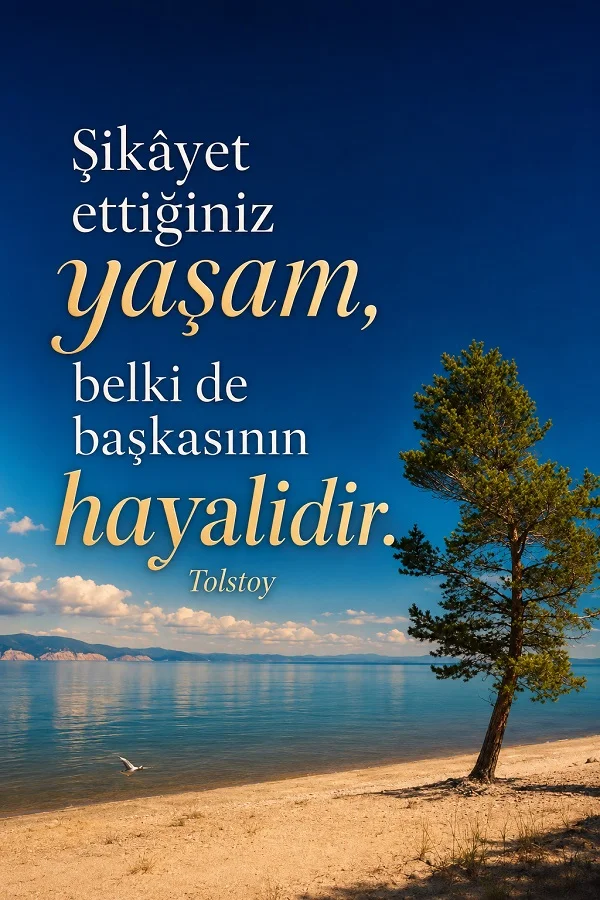 Göl kıyısında tek ağaç bulunan sakin manzara üzerinde “Şikâyet ettiğiniz yaşam, belki de başkasının hayalidir.” Tolstoy sözü yer alıyor.