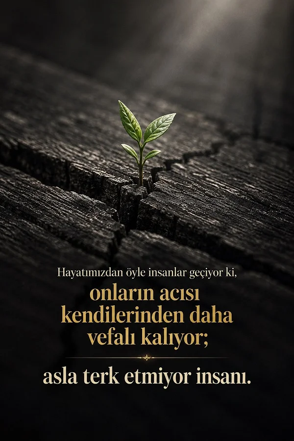 Çatlamış karanlık zeminden çıkan yeşil filiz üzerinde “Hayatımızdan öyle insanlar geçiyor ki, onların acısı kendilerinden daha vefalı kalıyor; asla terk etmiyor insanı.” sözünün yer aldığı hüzün temalı tasarım.