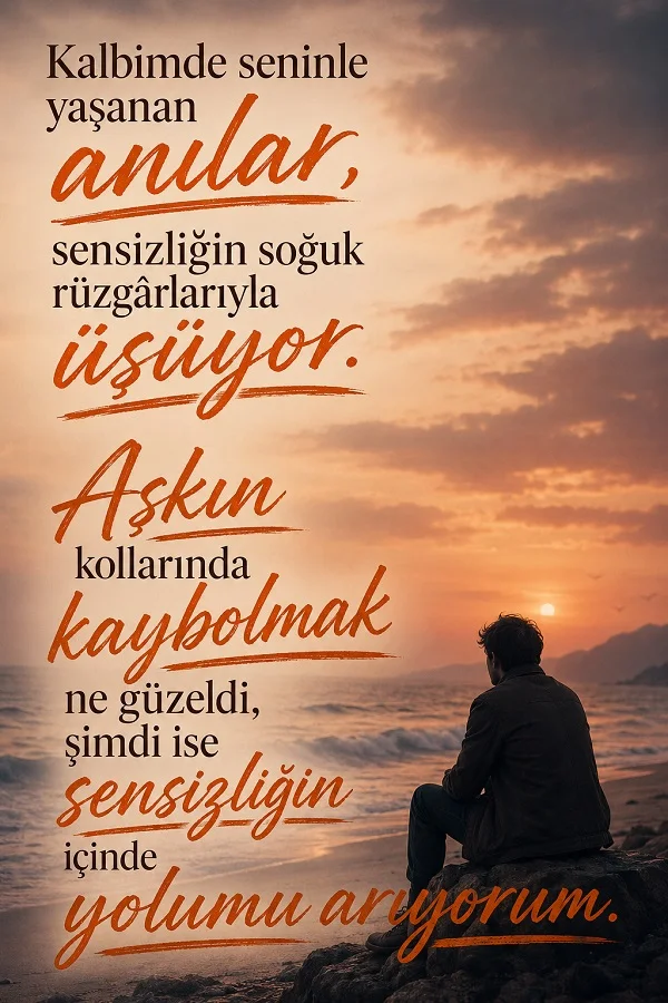 Gün batımında sahilde kayalıkta oturan yalnız bir adamın bulunduğu görselde, anıların sensizlikle üşüdüğünü ve aşkın yokluğunda yol aramayı anlatan uzun bir söz yazıyor.