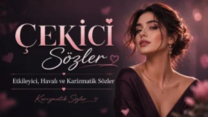 Çekici sözler başlıklı, koyu pembe tonlarda hazırlanmış, karizmatik kadın figürü ve etkileyici tipografi bulunan havalı sözler kapak görseli.