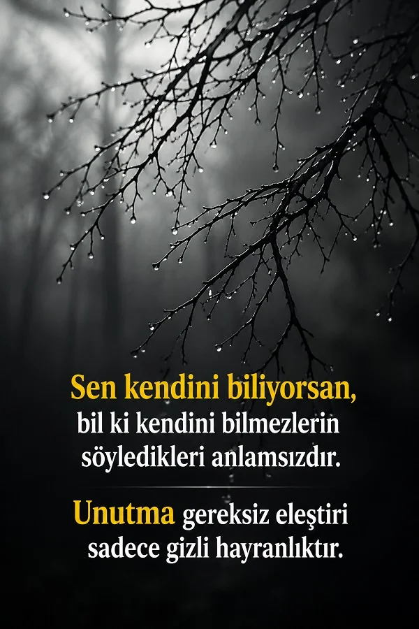 Sisli ve yağmurlu ağaç dallarının yer aldığı görselde “Sen kendini biliyorsan, bil ki kendini bilmezlerin söyledikleri anlamsızdır. Unutma gereksiz eleştiri sadece gizli hayranlıktır.” sözü yazıyor.