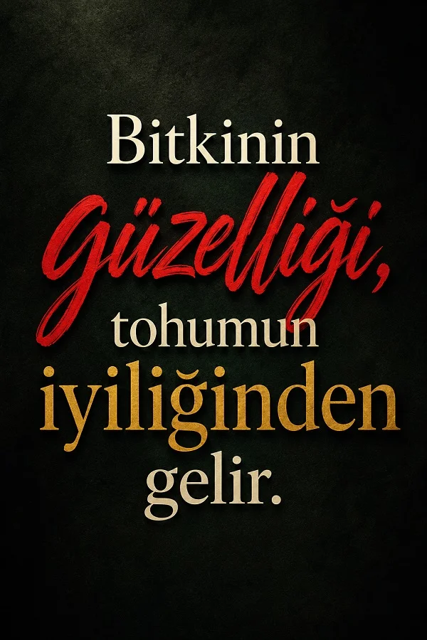 Siyah arka plan üzerinde “Bitkinin güzelliği, tohumun iyiliğinden gelir” sözünün yer aldığı tipografik alıntı tasarımı.