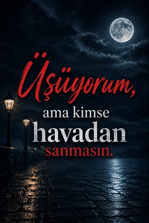Ay ışıklı gece ve sokak lambaları fonunda “Üşüyorum, ama kimse havadan sanmasın.” sözünün yer aldığı duygusal söz görseli.