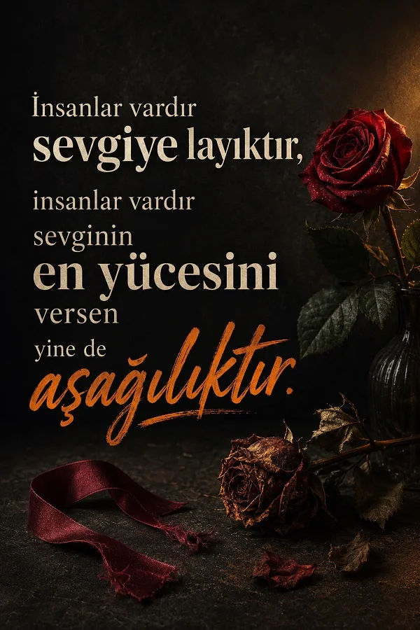 Kırmızı ve solmuş gül detaylarıyla, sevginin en yücesi verilse bile bazı insanların yine de aşağılık kalabildiğini anlatan söz görseli.