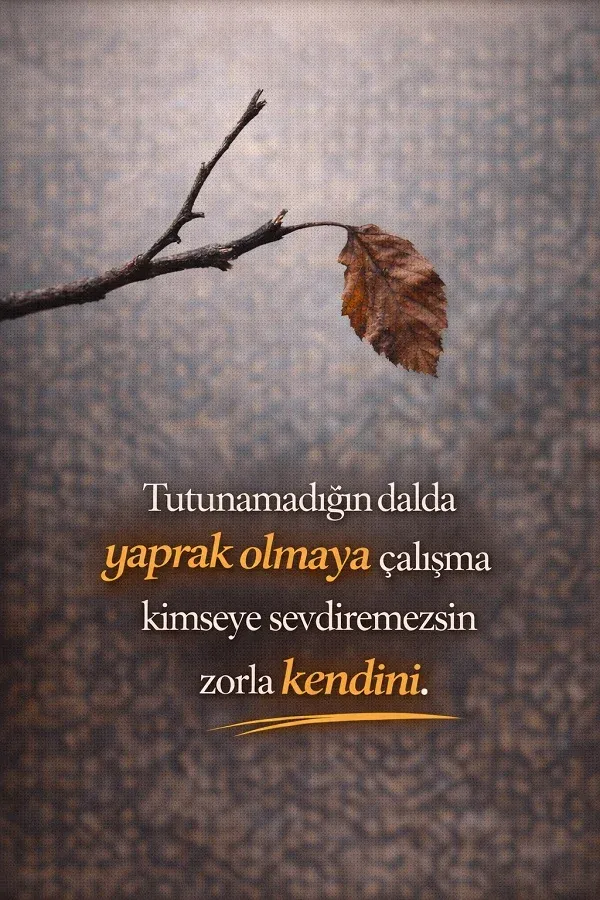 Kuru dalda asılı yaprak ve kimseye kendini zorla sevdirmemek üzerine söz.