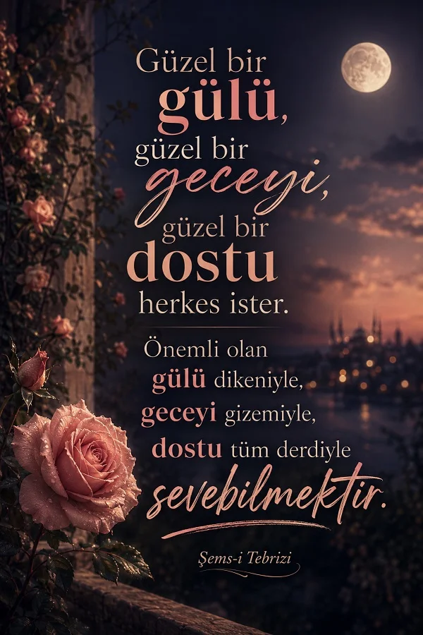 Gece manzarası, dolunay ve pembe güller eşliğinde, “Güzel bir gülü, güzel bir geceyi, güzel bir dostu herkes ister...” diye başlayan Şems-i Tebrizi sözü yer alıyor.