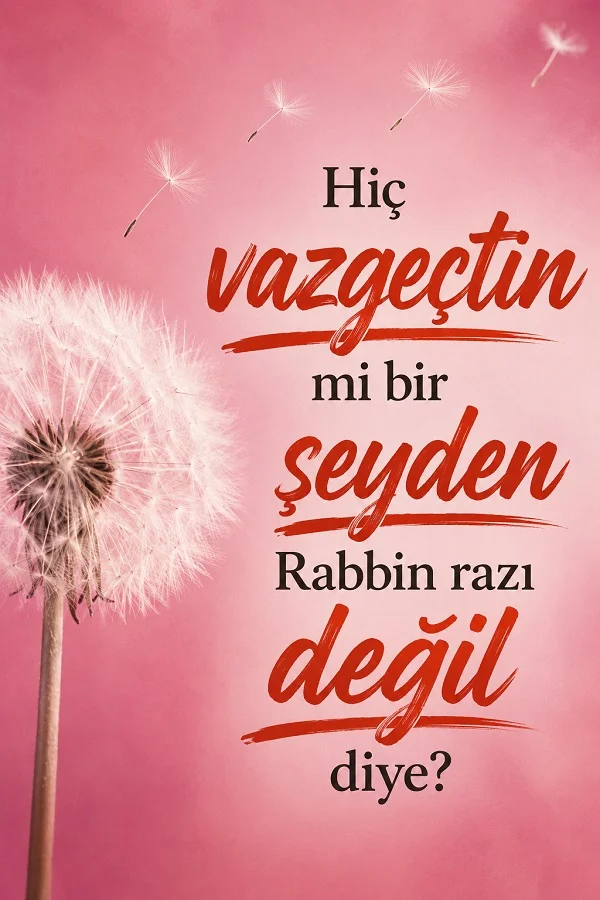 Pembe fon ve karahindiba görseli üzerinde “Hiç vazgeçtin mi bir şeyden Rabbin razı değil diye?” yazılı dini söz tasarımı.