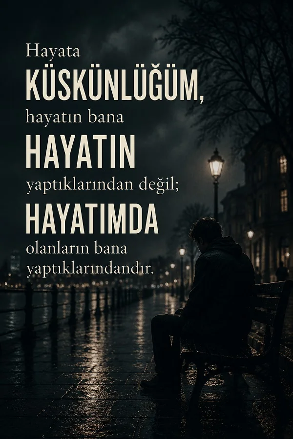 Yağmurlu gece sokakta bankta oturan yalnız bir kişinin bulunduğu tasarımda “Hayata küskünlüğüm, hayatın bana yaptıklarından değil; hayatımda olanların bana yaptıklarındandır.” sözü yer alıyor.
