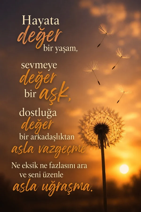 Gün batımında karahindiba fonu üzerinde “Hayata değer bir yaşam, sevmeye değer bir aşk, dostluğa değer bir arkadaşlıktan asla vazgeçme” sözünün yer aldığı anlamlı söz tasarımı.