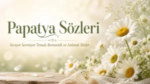 Papatya ile İlgili Sözler: Anlamlı, Romantik ve Güzel Papatya Sözleri