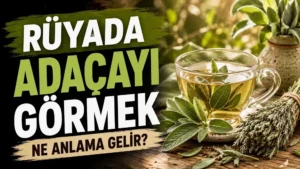 Rüyada adaçayı görmek ne anlama gelir başlıklı, adaçayı yaprakları ve bitki çayı bulunan yeşil ve doğal tonlarda kapak görseli.