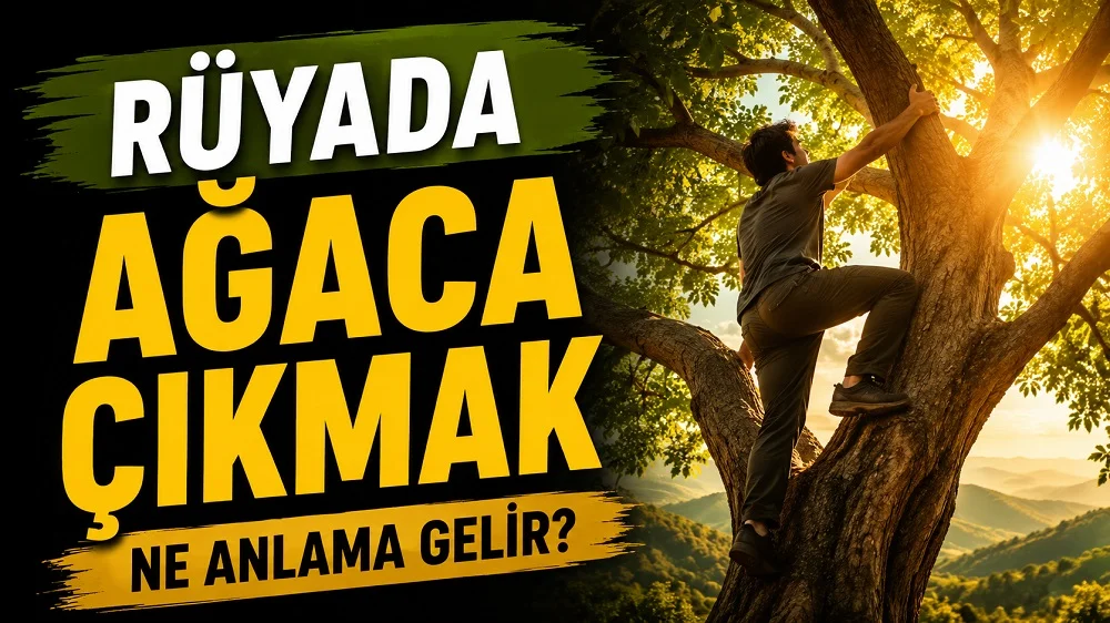 Rüyada ağaca çıkmak ne anlama gelir başlıklı, gün ışığı altında büyük bir ağaca tırmanan kişinin yer aldığı yeşil ve sarı tonlu kapak görseli.