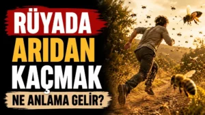 Rüyada Arıdan Kaçmak Ne Anlama Gelir?
