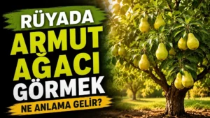 Yeşil ve sarı tonların hâkim olduğu bu kapak görselinde, meyvelerle dolu armut ağacı sıcak gün ışığıyla birlikte ön plana çıkarılmıştır. Görsel, rüyada armut ağacı görmenin bolluk, bereket, aile huzuru, emeklerin karşılığını alma ve hayırlı gelişmelerle bağlantılı anlamlarını yansıtacak şekilde hazırlanmıştır.