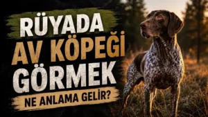 Rüyada Av Köpeği Görmek Ne Anlama Gelir?